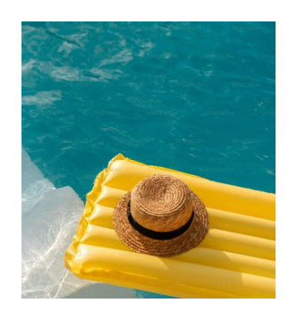 Become a Business Owner