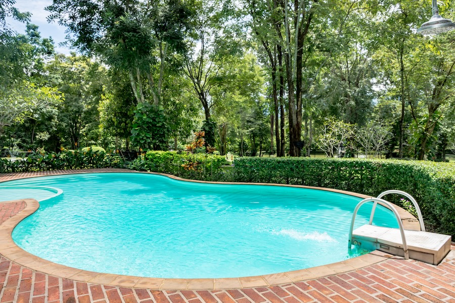 Swimming pool with view garden