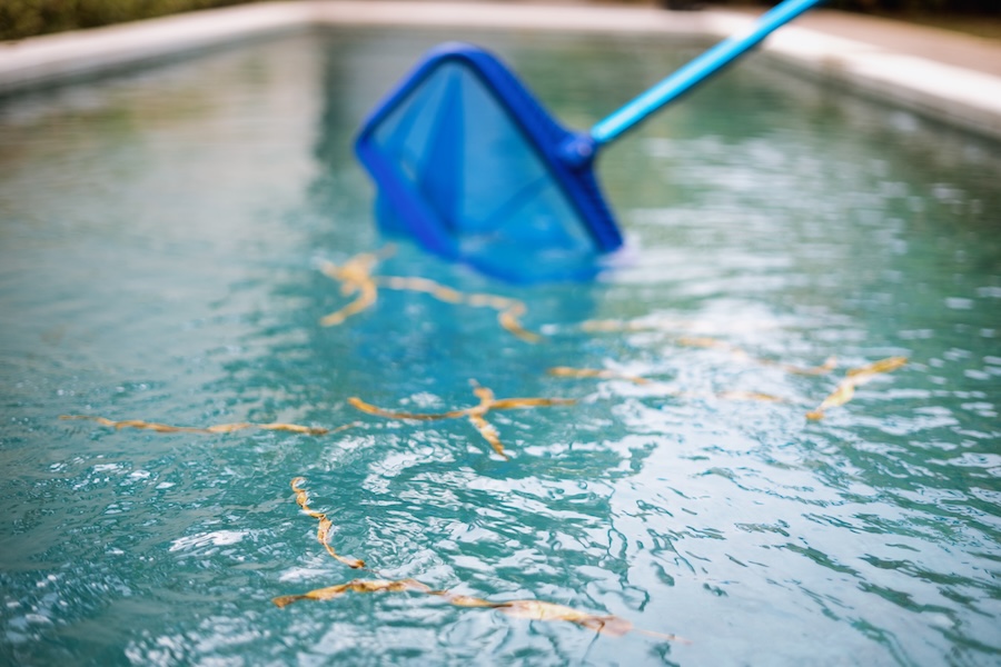 Process of cleaning swimming pool of fallen leaves with special skimmer mesh equipment