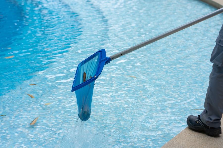 Workers cleaning the pool with a net