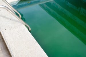 Swimming pool with dirty green water close-up.