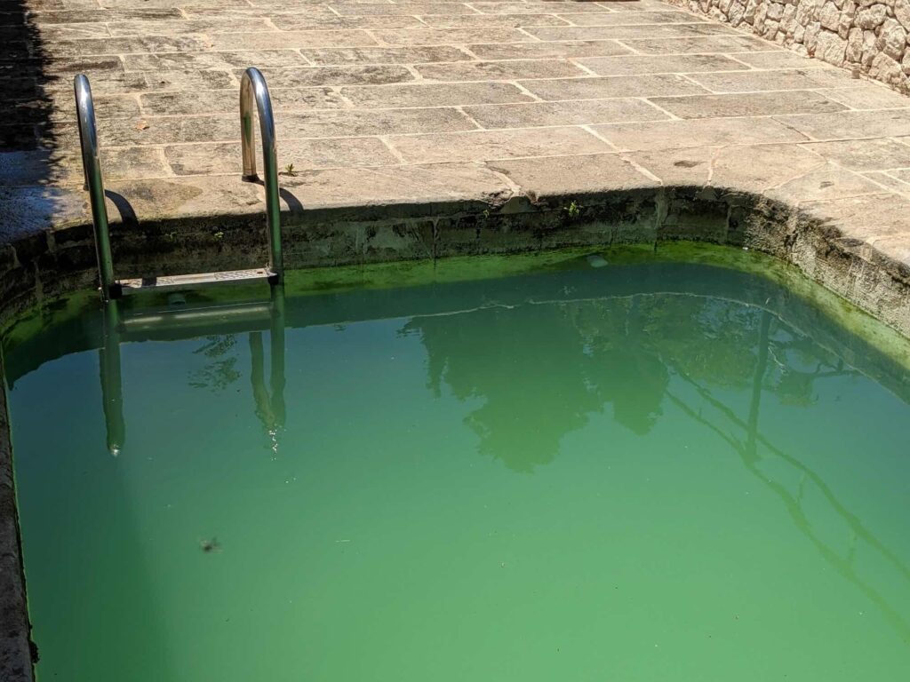 Abandoned or poorly maintained swimming pool with stagnant green water caused by algae growth.