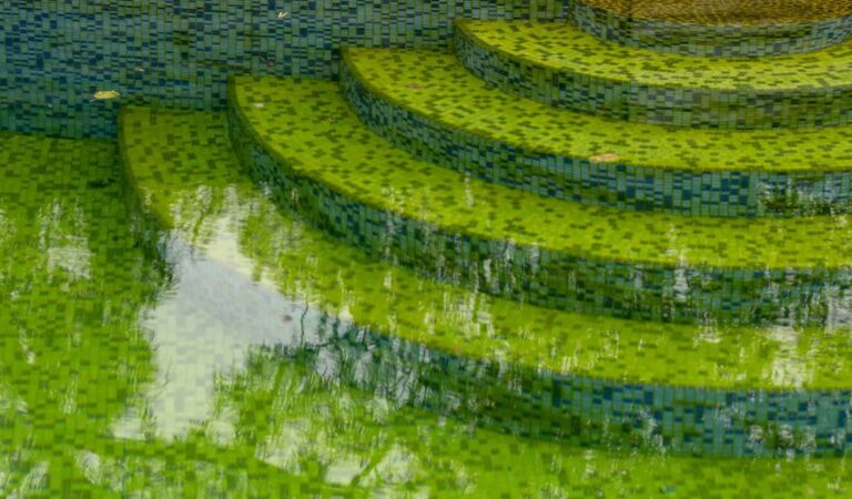 Underwater view of the steps of a swimming pool with green water.