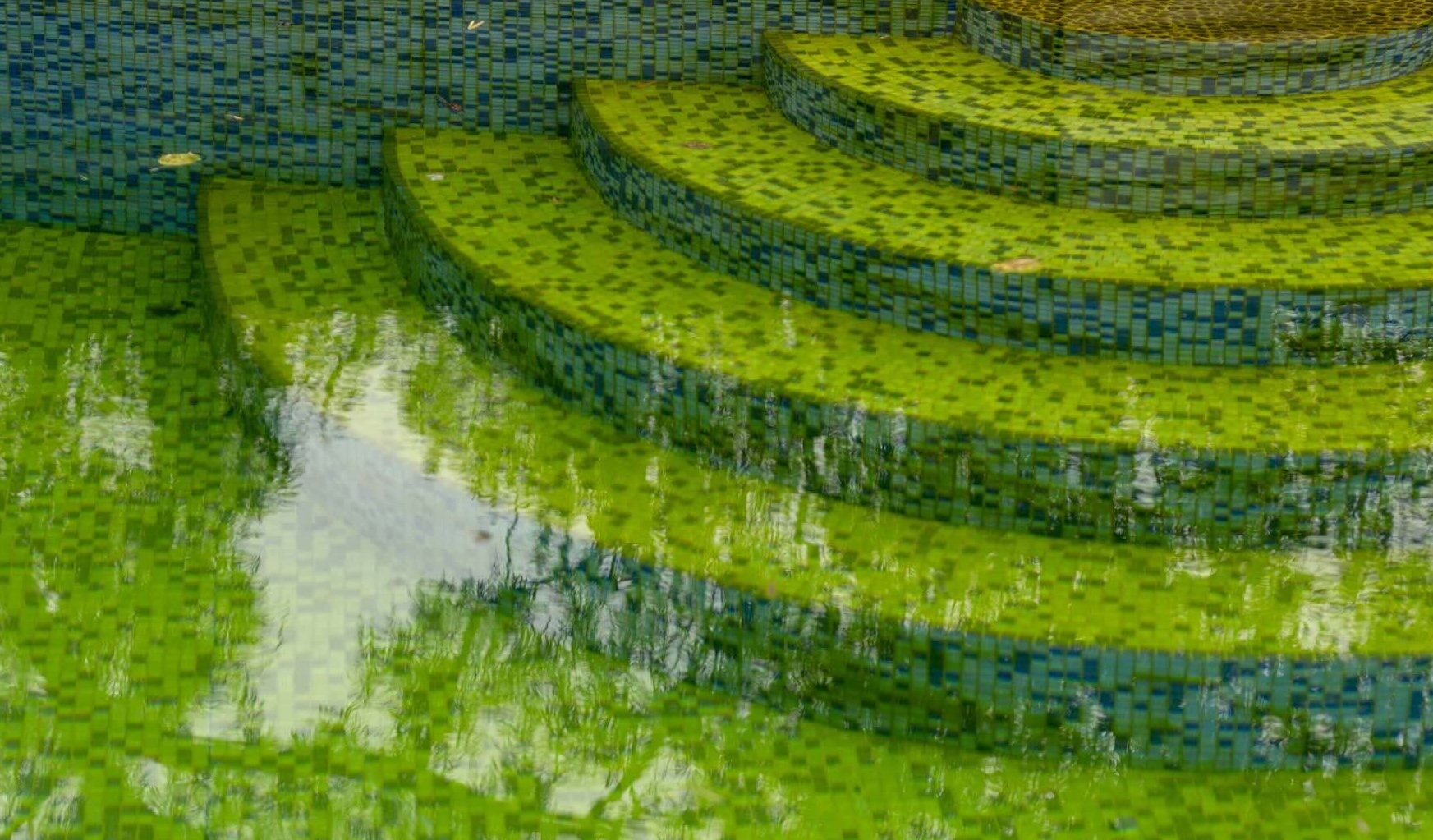 Underwater view of the steps of a swimming pool with green water.