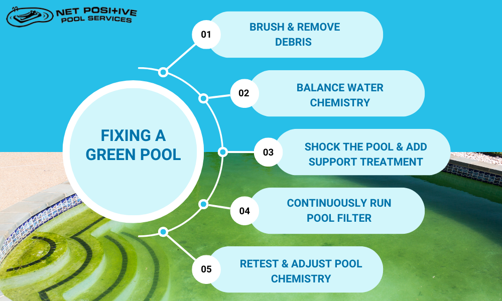 Infographic listing the steps to fixing a green pool: brush & remove debris, balance water chemistry, shock the pool & add support treatment, continuously run pool filter, and retest & adjust pool chemistry.