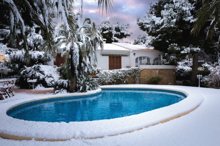 Family home with swimming pool and lawn in winter, palm garden and pine trees.