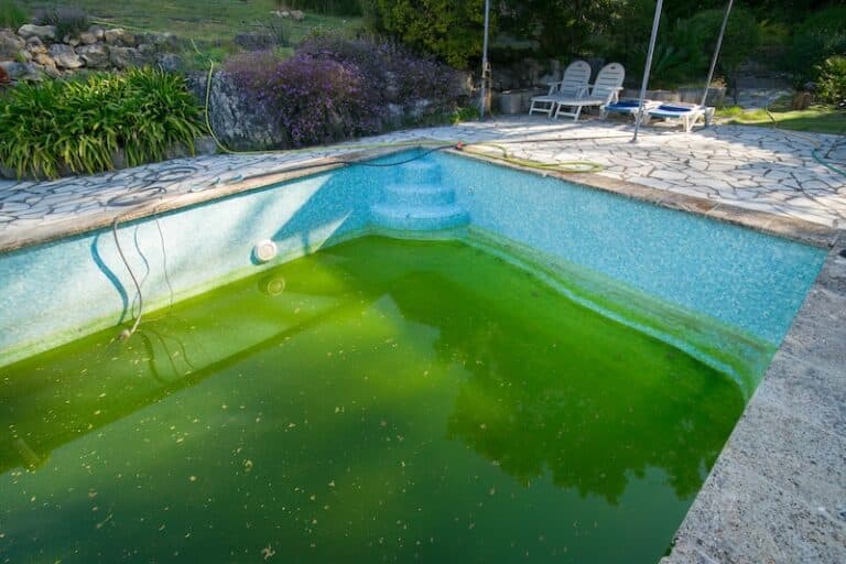 What Causes a Green Pool?